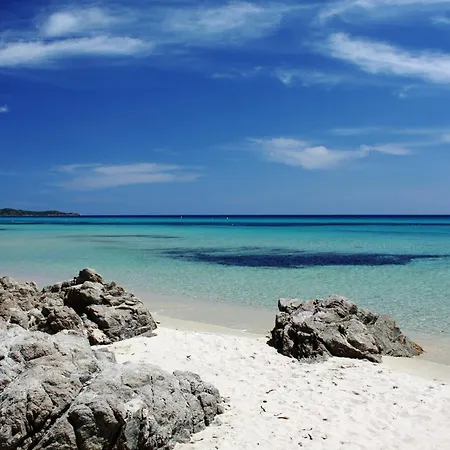 9 فيلة كوستا ري